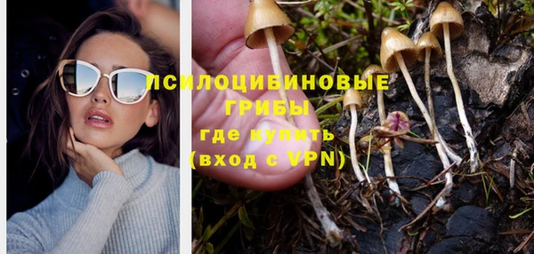 дурь Белокуриха