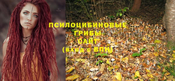 дурь Белокуриха
