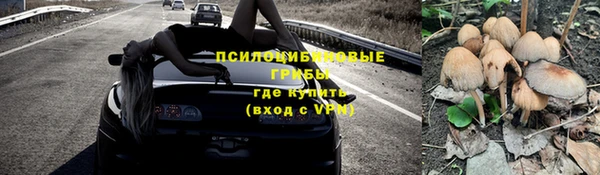 дурь Белокуриха