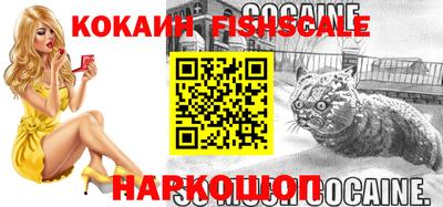 шишки Кандалакша