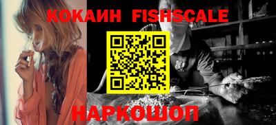шишки Кандалакша