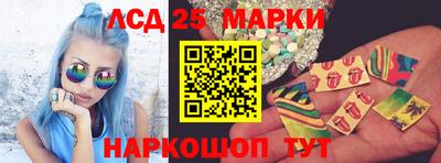 шишки Кандалакша
