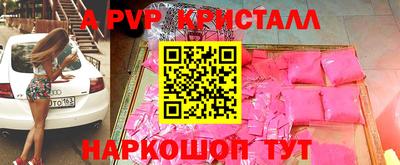 шишки Кандалакша