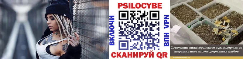 Псилоцибиновые грибы Magic Shrooms  хочу наркоту  площадка наркотические препараты  Луховицы 