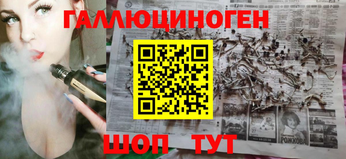 Псилоцибиновые грибы прущие грибы  Вход с VPN  Луховицы 